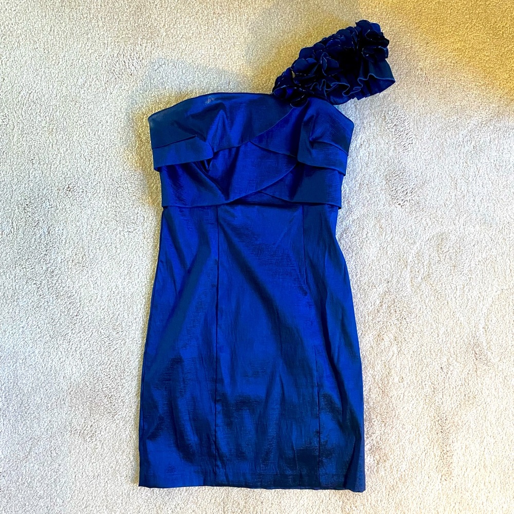 Alyn Paige Blue Cocktail dress